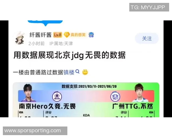 数据分析探讨JDG在市场环境中的灵活性表现及其影响因素