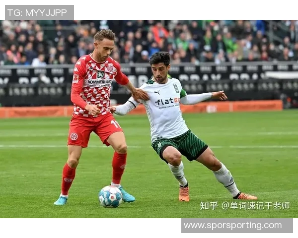 勒沃库森：德甲劲旅的崛起与未来发展潜力探析